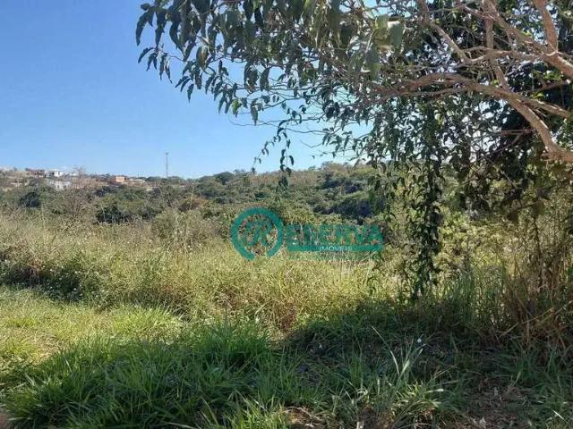 Terreno venda em Região Geográfica Imediata de Rio Verde, Rio Verde