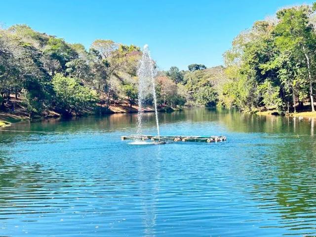 Terreno venda em Região Geográfica Imediata de Porto Velho, Porto Velho