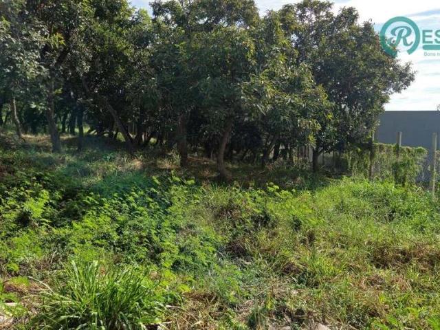 Terreno venda em Várzea, Lagoa Santa