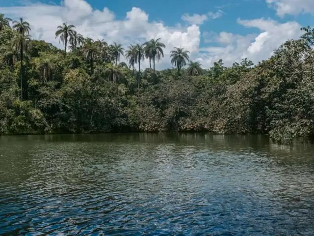 Terreno venda em Região Geográfica Imediata de Belo Horizonte, Região Metropolitana de Belo Horizonte