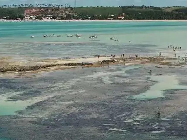 Terreno venda em Limoeiro, Região Nordeste