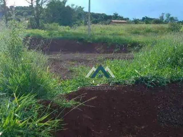 Terreno venda em Região Geográfica Imediata de Londrina, Londrina