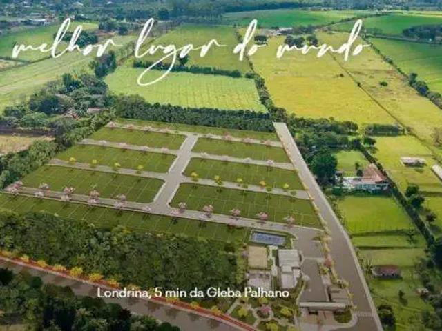Terreno venda em Região Geográfica Imediata de Londrina, Londrina