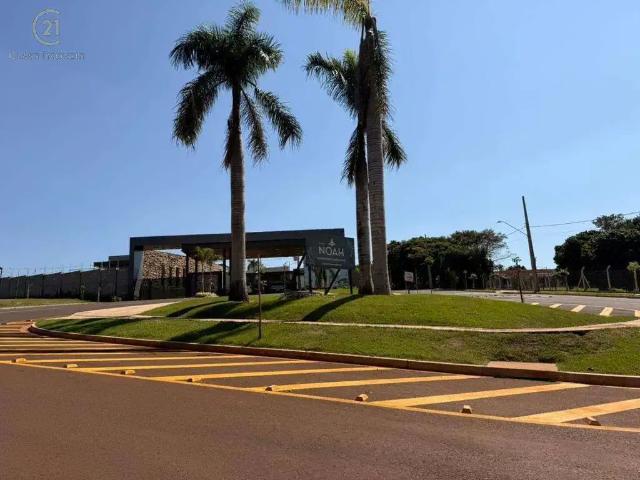 Terreno venda em Região Geográfica Imediata de Londrina, Londrina