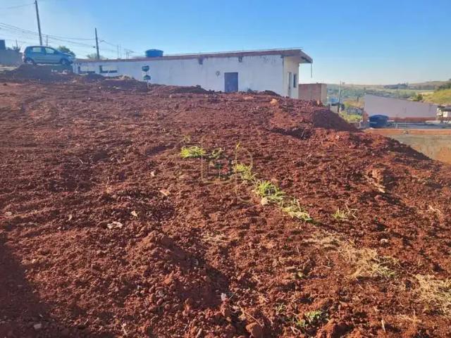 Terreno venda em Região Geográfica Imediata de Londrina, Londrina