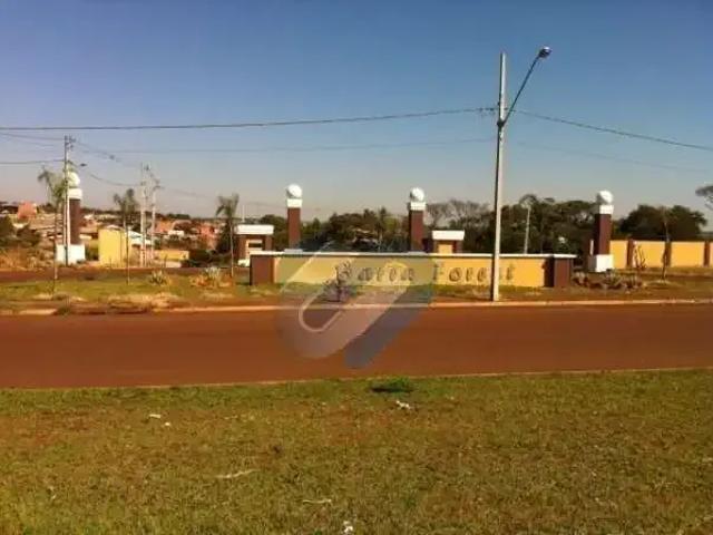 Terreno venda em Região Geográfica Imediata de Londrina, Londrina