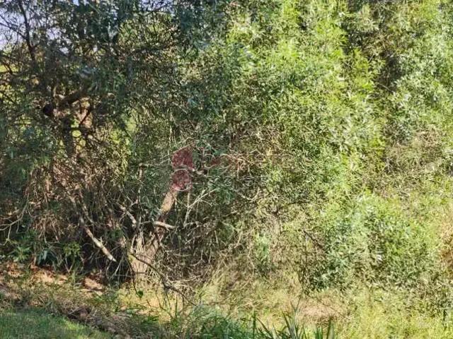 Terreno venda em Região Imediata de Jundiaí, Louveira