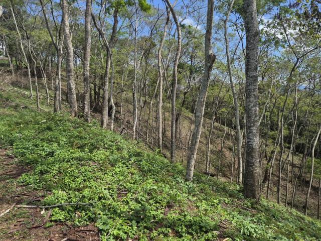 Terreno venda em Macaé