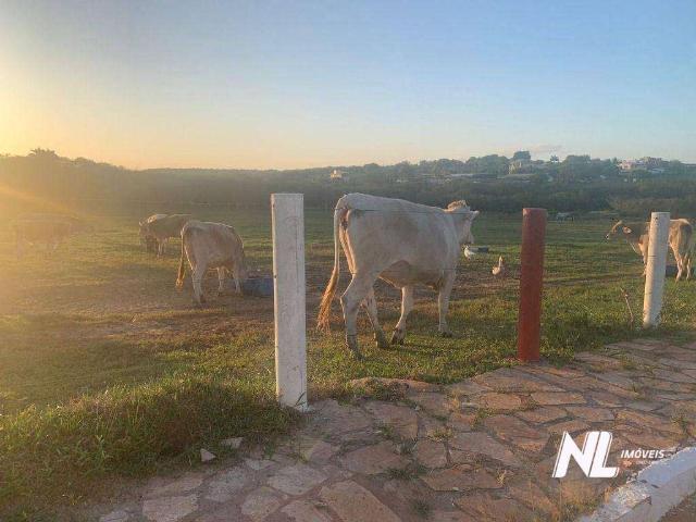 Terreno venda em Região Geográfica Imediata de Natal, Macaíba