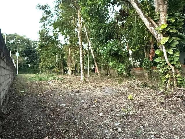Terreno venda em Maceió