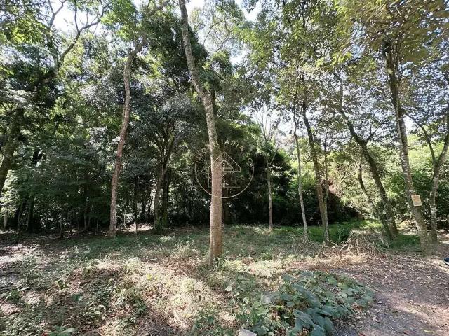 Terreno venda em Região Imediata de Sorocaba, Região Metropolitana de Sorocaba