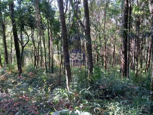 Terreno venda em Região Imediata de Sorocaba, Região Metropolitana de Sorocaba
