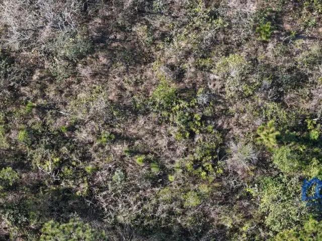 Terreno venda em Região Imediata de Sorocaba, Região Metropolitana de Sorocaba