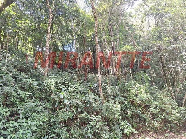 Terreno venda em Campos da Cantareira, Mairiporã