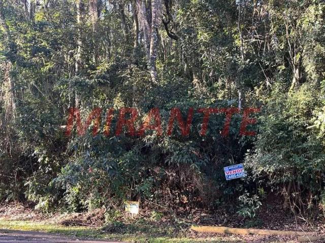 Terreno venda em Campos da Cantareira, Mairiporã