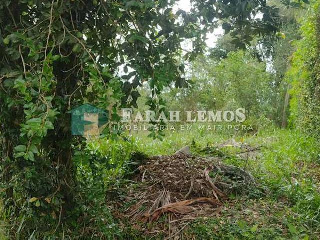 Terreno venda em Jardim Sandra II, Mairiporã
