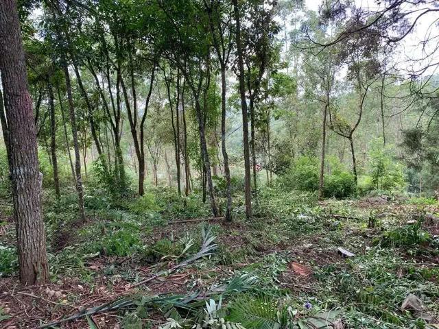 Terreno venda em Região Imediata de São Paulo, Região Metropolitana de São Paulo