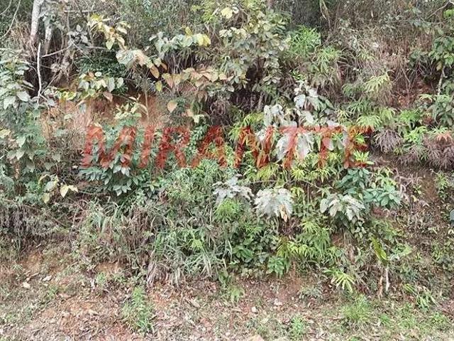 Terreno venda em Mairiporã