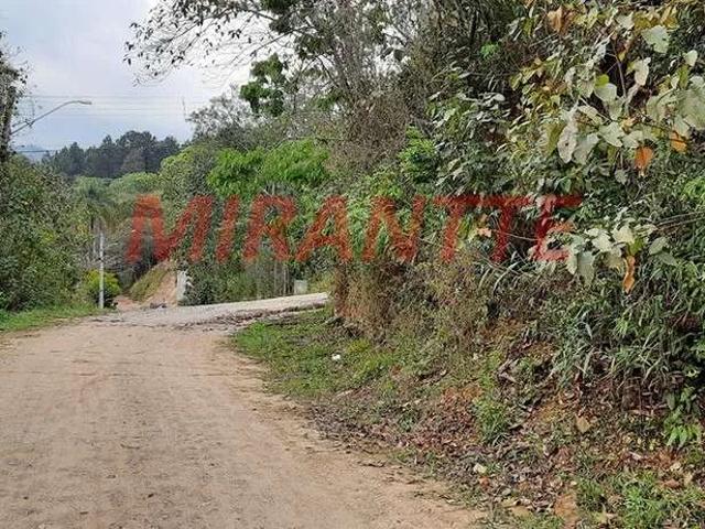 Terreno venda em Mairiporã