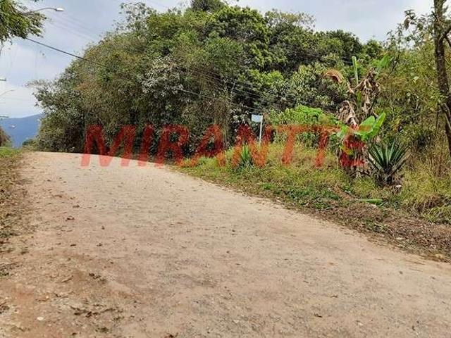 Terreno venda em Mairiporã