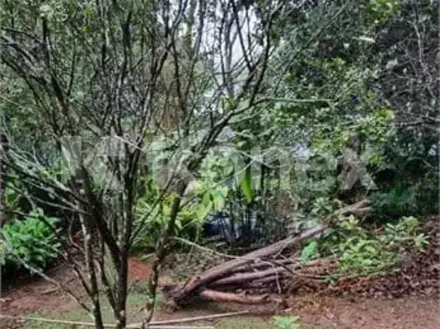 Terreno venda em Região Imediata de Araraquara, Araraquara
