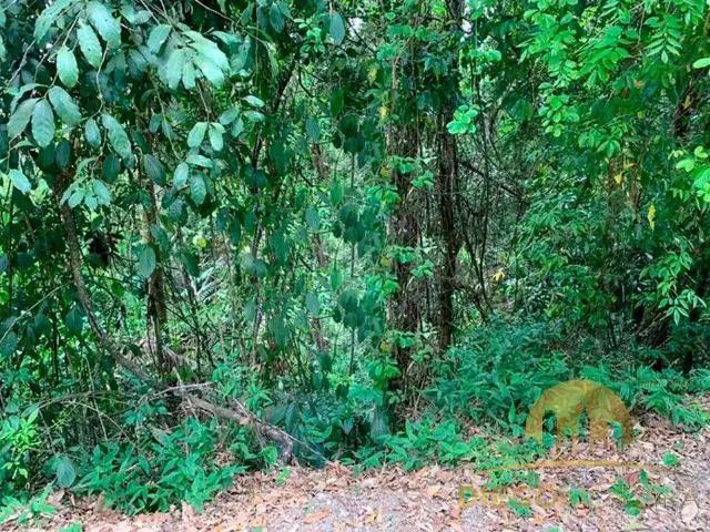 Terreno venda em Sausalito Sul II, Mairiporã