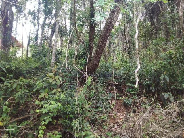 Terreno venda em Mairiporã