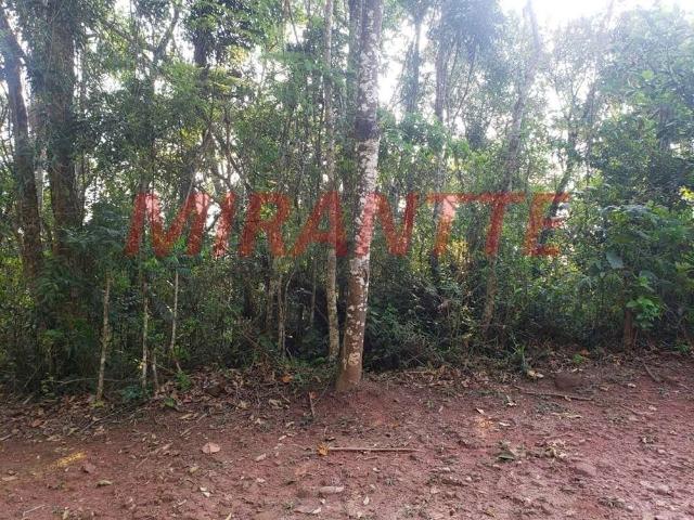 Terreno venda em Parque Friburgo, Mairiporã