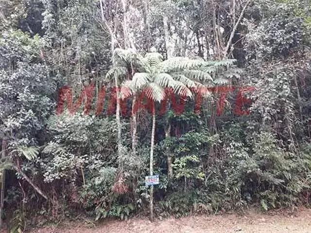 Terreno venda em Parque Friburgo, Mairiporã