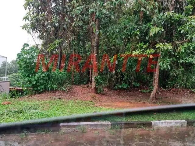 Terreno venda em Parque Friburgo, Mairiporã
