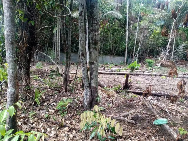 Terreno venda em Região Geográfica Imediata de Manaus, Itamarati