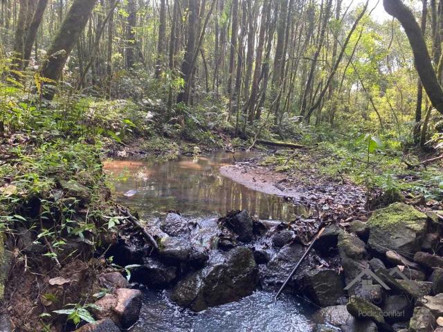 Terreno venda em Vila Brasília, Mandirituba