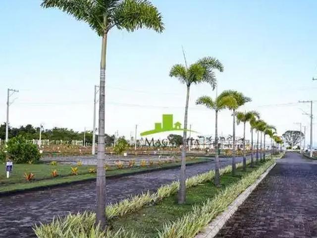 Terreno venda em Região Geográfica Imediata de Ilhéus – Itabuna, Marau