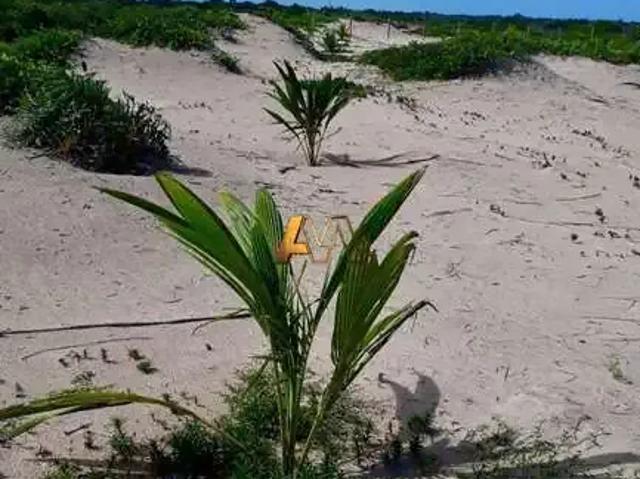Terreno venda em Região Geográfica Imediata de Marau, Marau