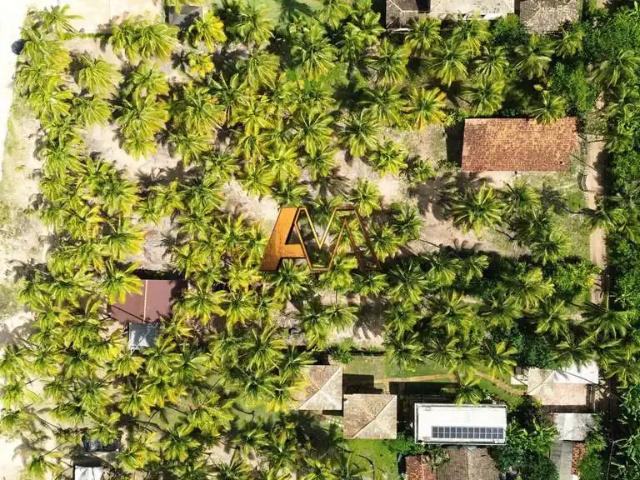 Terreno venda em Região Geográfica Imediata de Ilhéus – Itabuna, Marau