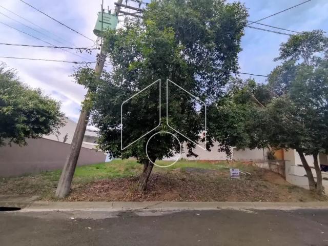 Terreno venda em Região Imediata de Marília, Marília