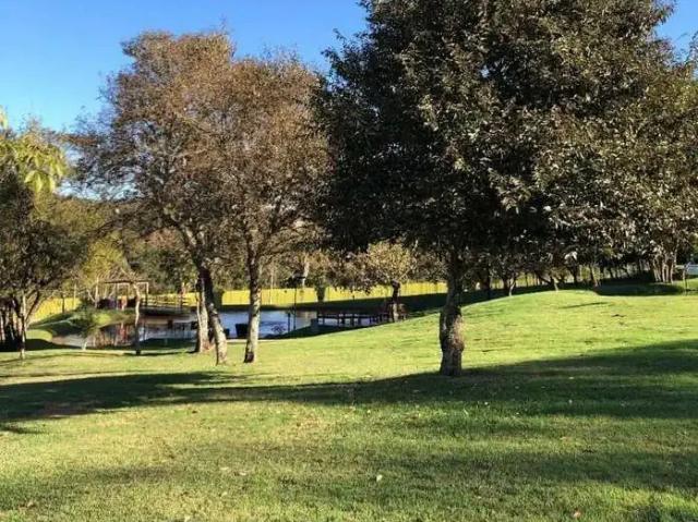 Terreno venda em Região Geográfica Imediata de Maringá, Maringá