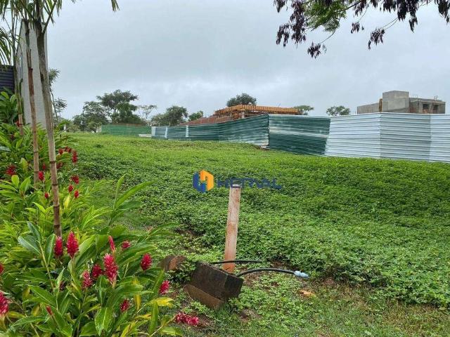 Terreno venda em Região Geográfica Imediata de Maringá, Maringá