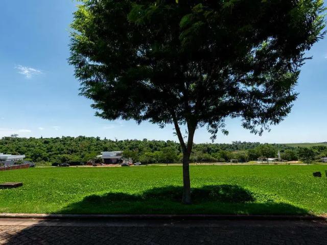 Terreno venda em Região Geográfica Imediata de Maringá, Maringá