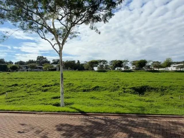 Terreno venda em Região Geográfica Imediata de Maringá, Maringá
