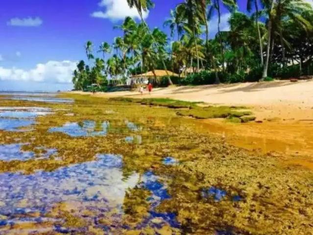 Terreno venda em Região Geográfica Imediata de Salvador, Região Metropolitana de Salvador