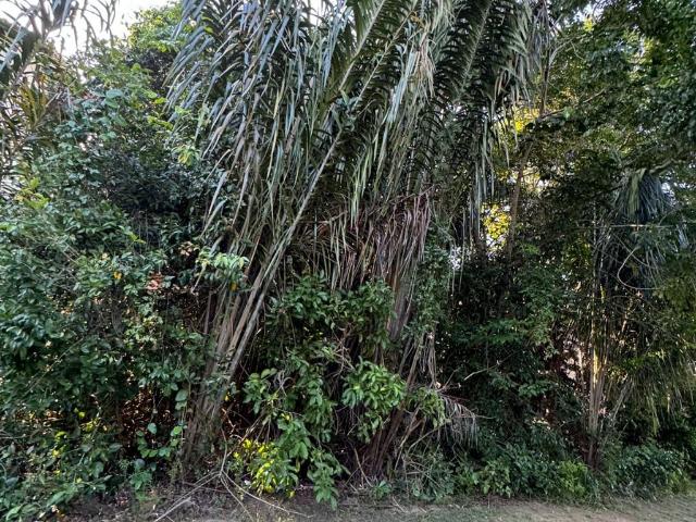 Terreno venda em Região Geográfica Imediata de Salvador, Região Metropolitana de Salvador