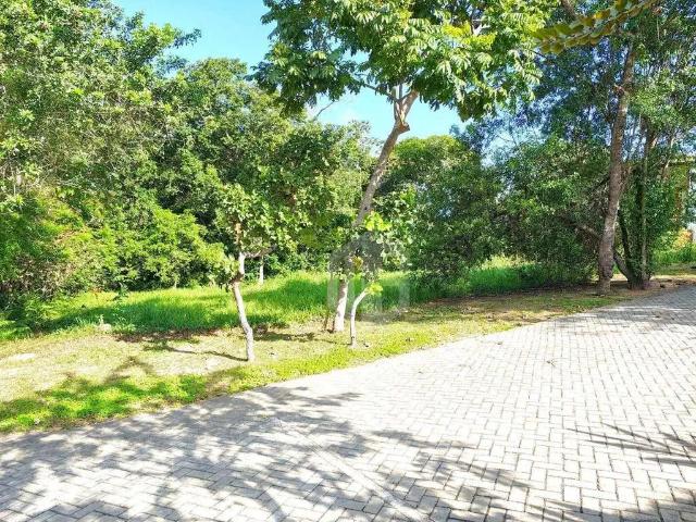 Terreno venda em Região Geográfica Imediata de Salvador, Região Metropolitana de Salvador
