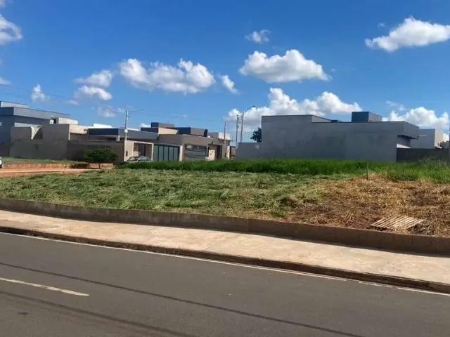 Terreno venda em Mirassol
