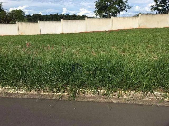 Terreno venda em Jardim  Maria Antonieta, Mogi Mirim