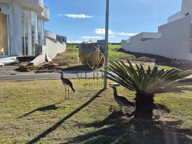 Terreno venda em Mogi Mirim, Região Geográfica Intermediária de Campinas