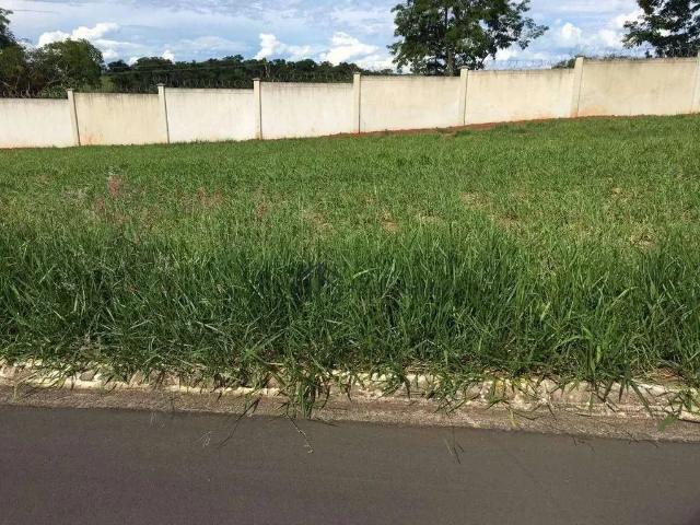 Terreno venda em Jardim Santa Helena, Mogi Mirim