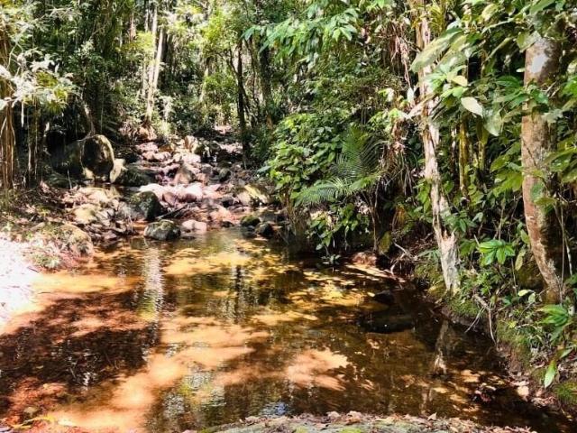 Terreno venda em Bom Jardim, Morretes