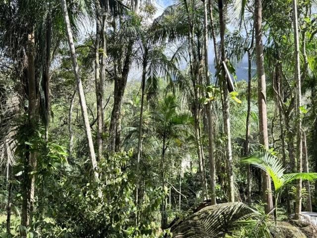 Terreno venda em Região Geográfica Imediata de Paranaguá, Morretes