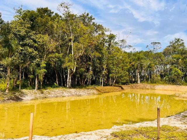 Terreno venda em Rocio, Morretes